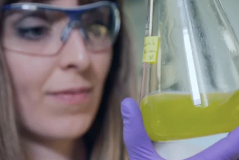 Total BioLab: renewable products for future
